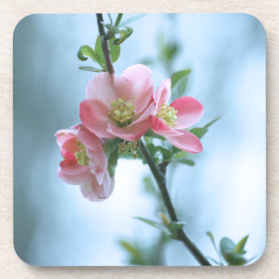 Apple Blossom #P0365 Cork Untersetzer