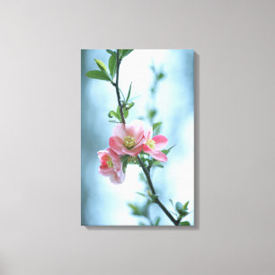 Apple Blossom #P0365 Leinwand