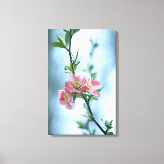 Apple Blossom #P0365 Leinwand (Vorderseite)