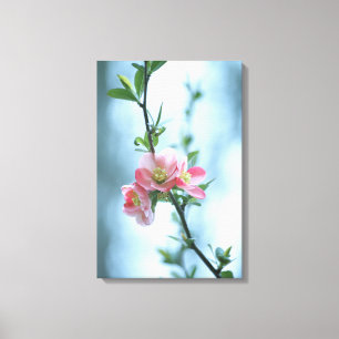 Apple Blossom #P0365 Leinwand