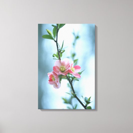 Apple Blossom #P0365 Leinwand (Vorderseite)
