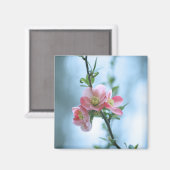 Apple Blossom #P0365 Magnet (Vorderseite/Rückseite)