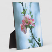 Apple Blossom #P0365 Plaque Fotoplatte (Seite)
