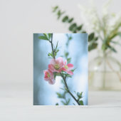 Apple Blossom #P0365 Postkarte (Stehend Vorderseite)
