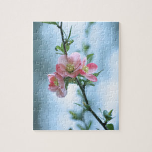 Apple Blossom #P0365 Puzzle