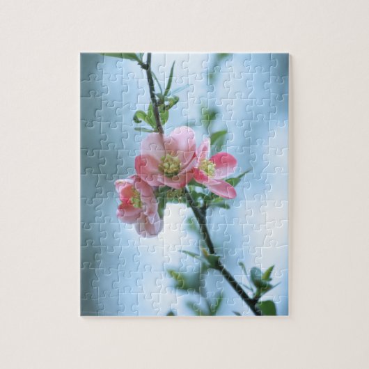 Apple Blossom #P0365 Puzzle (Vertikal)
