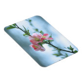Apple Blossom #P0365 Vinyl Magnet (Rechte Seite)