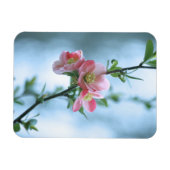 Apple Blossom #P0365 Vinyl Magnet (Horizontal)