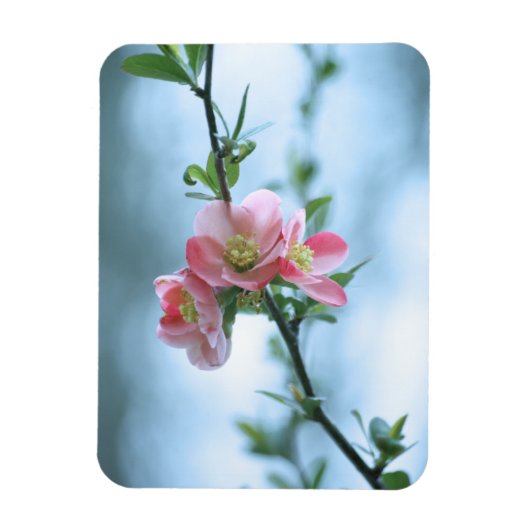 Apple Blossom #P0365 Vinyl Magnet (Vertikal)