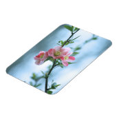 Apple Blossom #P0365 Vinyl Magnet (Linke Seite)