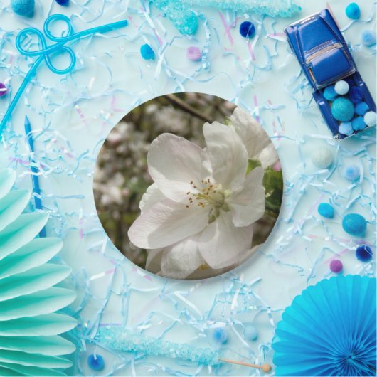 Apple Blossom Paper Teller (Party)