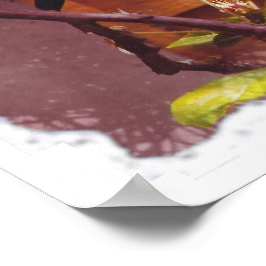 Apple Blossom Poster (Ecke)