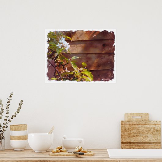 Apple Blossom Poster (Küche)