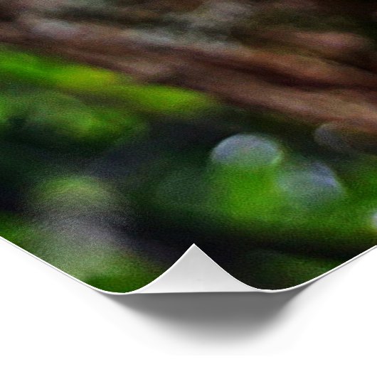 APPLE BLOSSOM POSTER (Ecke)