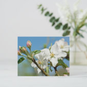 Apple Blossom Postkarte (Stehend Vorderseite)