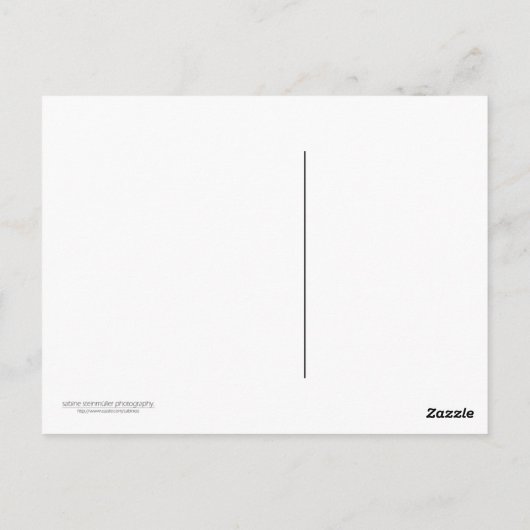 Apple Blossom Postkarte (Rückseite)