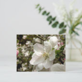 Apple Blossom Postkarte (Stehend Vorderseite)