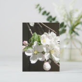 Apple Blossom Postkarte (Stehend Vorderseite)