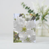 Apple Blossom Postkarte (Stehend Vorderseite)
