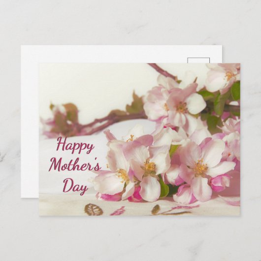 Apple Blossom Postkarte (Vorne/Hinten)