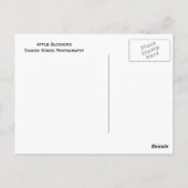 Apple Blossom Postkarte (Rückseite)