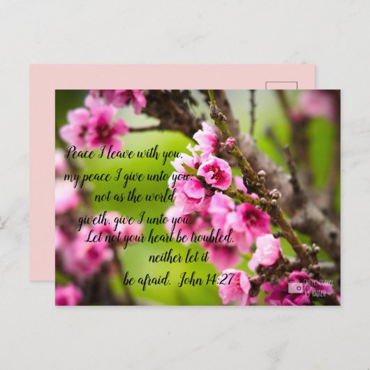 Apple Blossom Postkarte (Vorne/Hinten)