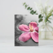 Apple Blossom Postkarte (Stehend Vorderseite)