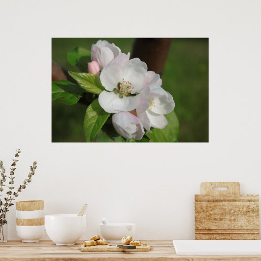 Apple Blossom Print 2 Poster (Küche)