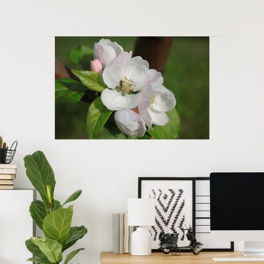 Apple Blossom Print 2 Poster (Heimbüro)