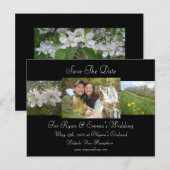 Apple Blossom Save the Date Ankündigungspostkarte (Vorne/Hinten)