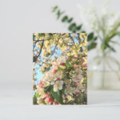 Apple Blossom Sunshine Postkarte (Stehend Vorderseite)
