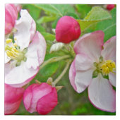 Apple Blossom Time Fliese (Vorderseite)