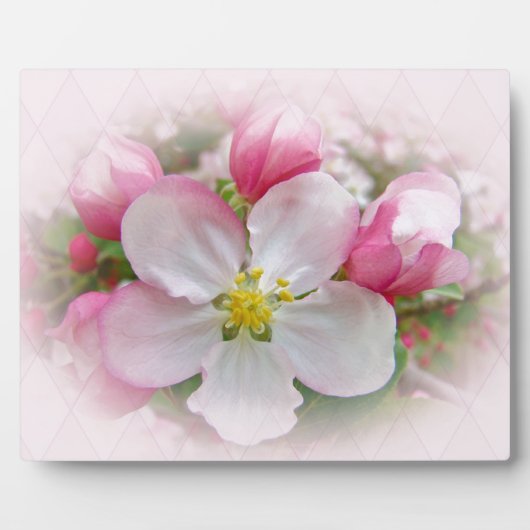 Apple Blossom Time Fotoplatte (Vorderseite)