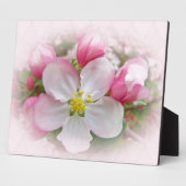 Apple Blossom Time Fotoplatte (Seite)