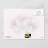Apple Blossom Time - Joyous Oaster Feiertagspostkarte (Rückseite)