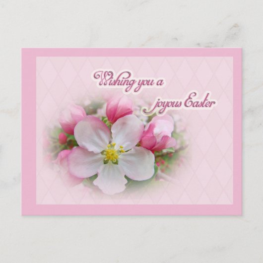 Apple Blossom Time - Joyous Oaster Feiertagspostkarte (Vorderseite)
