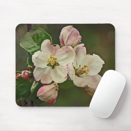 Apple Blossom Time Mousepad (Mit Mouse)