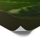 Apple Blossom Time Poster (Ecke)