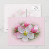 Apple Blossom Time Postkarte (Vorne/Hinten)