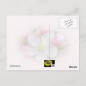 Apple Blossom Time Postkarte (Rückseite)