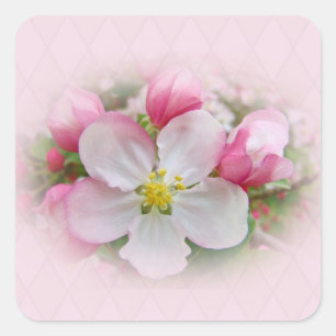 Apple Blossom Time Quadratischer Aufkleber