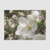 Apple Blossom Tissue Seidenpapier (Vorderseite)