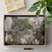 Apple Blossom Tissue Seidenpapier (Geschenk)