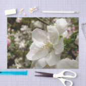 Apple Blossom Tissue Seidenpapier (Handwerk)