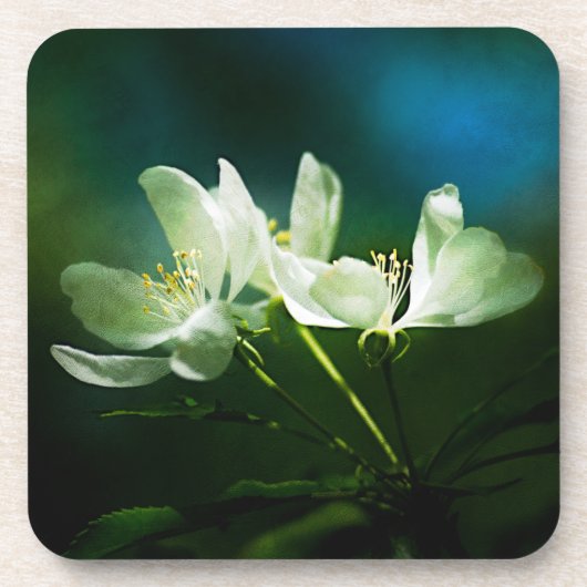 Apple Blossom - zwei Blume Getränkeuntersetzer (Vorderseite)