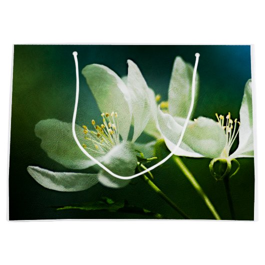 Apple Blossom - zwei Blume Große Geschenktüte (Vorderseite)