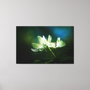 Apple Blossom - zwei Blume Leinwanddruck
