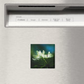 Apple Blossom - zwei Blume Magnet (In Situ (Geschirrspüler))