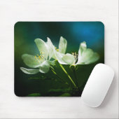 Apple Blossom - zwei Blume Mousepad (Mit Mouse)