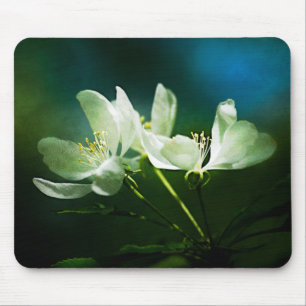 Apple Blossom - zwei Blume Mousepad